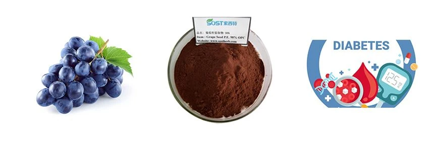 Can Grape Seed Extract Treat Diabetes