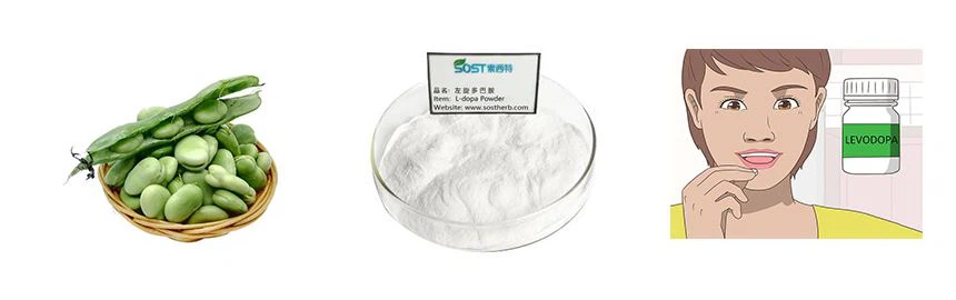 l-dopa