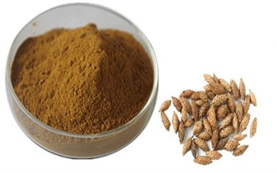 siberian cocklebur fruit powder siberian cocklebur fruit powder