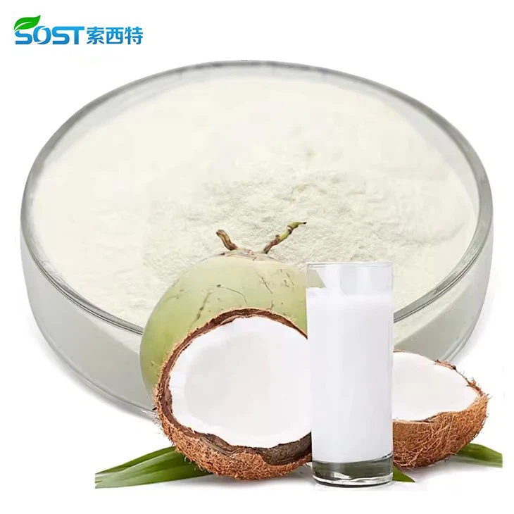 Dried Coconut Milk Powder2
