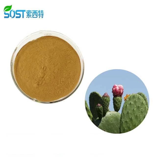 Cactus Extract Powder